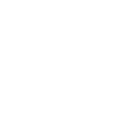 Vector 3
